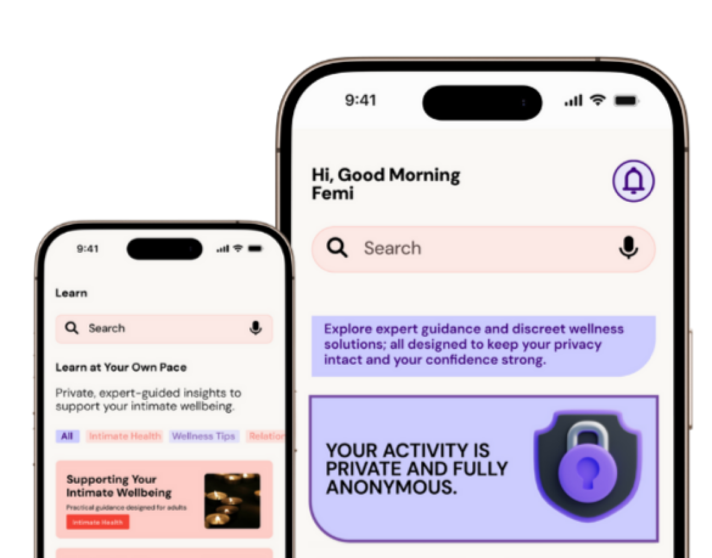 App interface preview